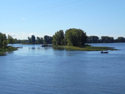 Kayaking