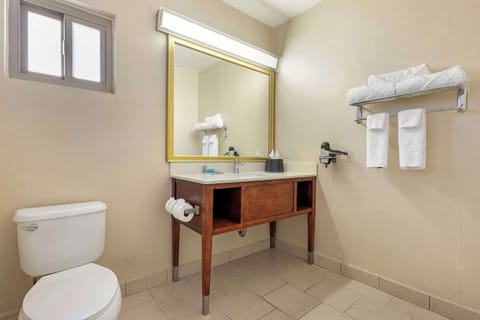 Standard Room, 1 King Bed, Non Smoking, Refrigerator & Microwave | Bathroom | Eco-friendly toiletries, hair dryer, towels