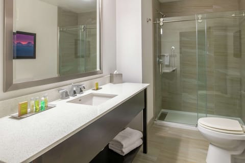 Junior Suite, 1 King Bed, Fireplace | Bathroom | Free toiletries, hair dryer, towels, soap
