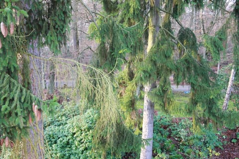 Apartment | Garden view