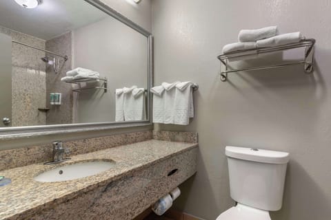 Combined shower/tub, free toiletries, hair dryer, towels