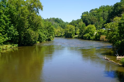 River - Picture of River running directly behind cabin.