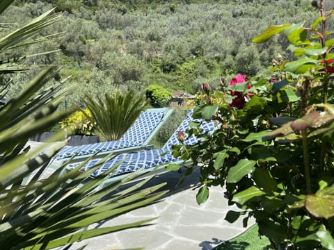 Superior Quadruple Room, Garden Area | Terrace/patio