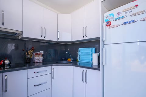 Apartment, 1 Bedroom | Private kitchen | Full-size fridge, stovetop, cookware/dishes/utensils