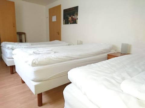 Triple Room | Iron/ironing board, free WiFi, bed sheets