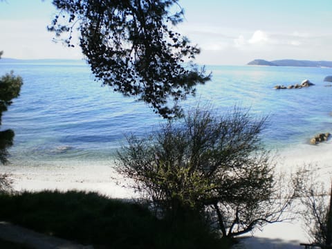 Beach nearby, white sand