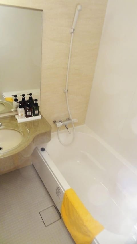 Separate tub and shower, deep soaking tub, hair dryer, electronic bidet
