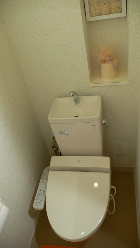 Combined shower/tub, hair dryer, electronic bidet, towels