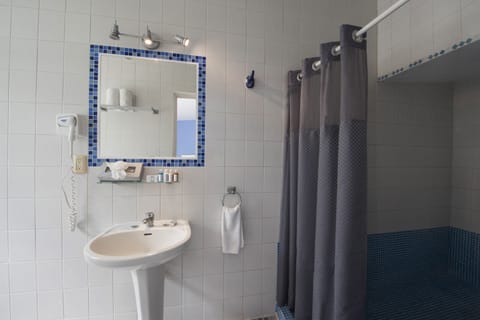 Honeymoon Suite | Bathroom | Shower, free toiletries, hair dryer, towels