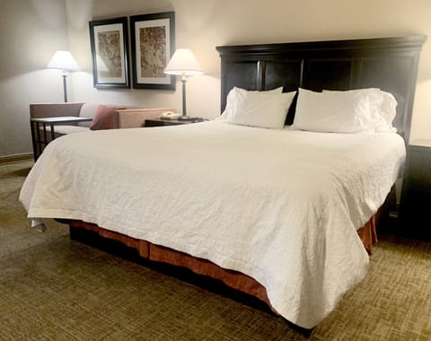 Room, 1 King Bed, Non Smoking | Egyptian cotton sheets, premium bedding, down comforters, in-room safe