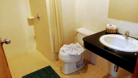 Executive Pool Access | Bathroom | Shower, free toiletries, towels, soap