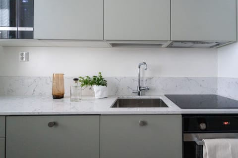 Fridge, oven, stovetop, dishwasher