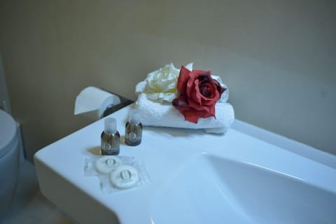 Free toiletries, hair dryer, bidet, towels