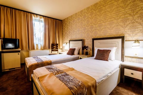 Deluxe Double or Twin Room | Minibar, free WiFi, bed sheets