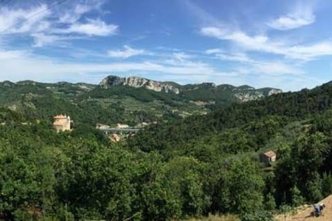 View from the main terrace