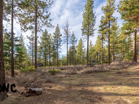 Forest and trails just feet from our door