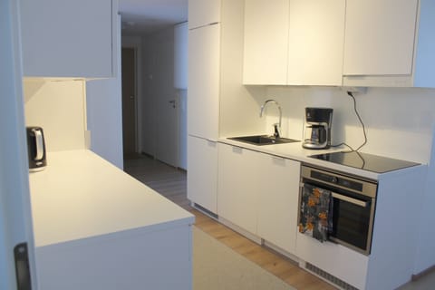 Standard Apartment | Private kitchen | Fridge, microwave, oven, stovetop