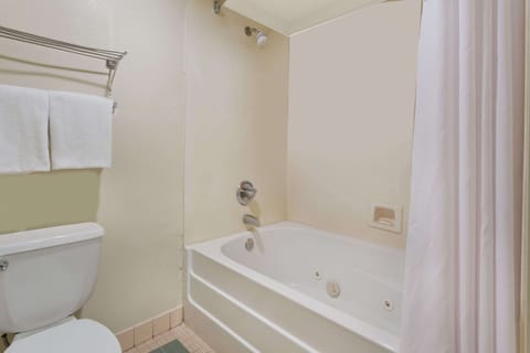 Combined shower/tub, free toiletries, hair dryer, towels