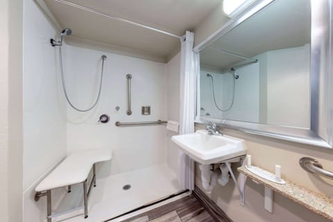 Room, 1 King Bed, Accessible, Non Smoking (Mobility, Roll-in Shower) | Accessible bathroom