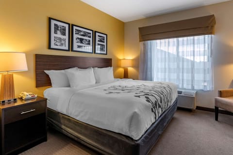 Suite, 1 King Bed with Sofa bed, Non Smoking | Premium bedding, pillowtop beds, in-room safe, desk