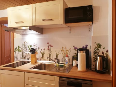 Apartment, Mountain View (Ferienwohnung 3) | Private kitchen | Stovetop, toaster, coffee grinder, cookware/dishes/utensils