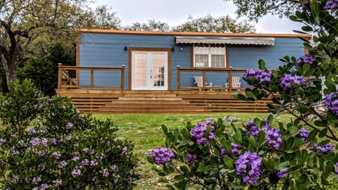 Tiny with Mountain Laurels in bloom.... simply gorgeous!