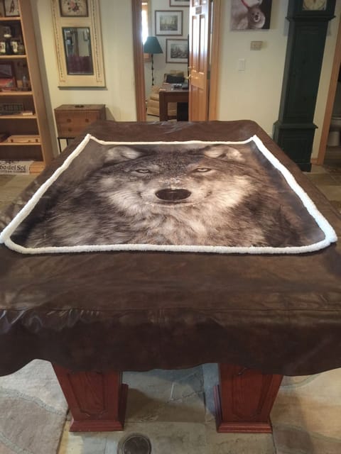 Professional size pool table with equipment