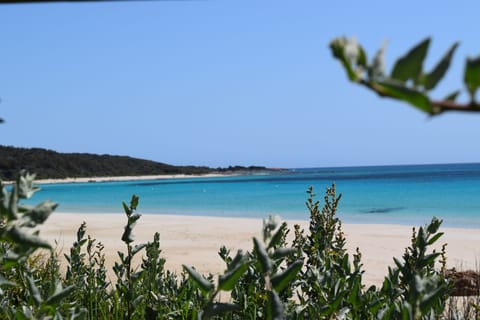 Beach nearby, white sand