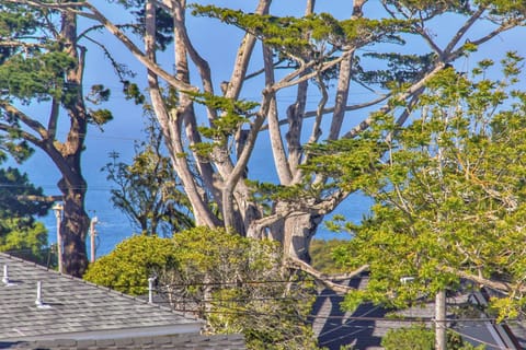 Peeks of Monterey Bay