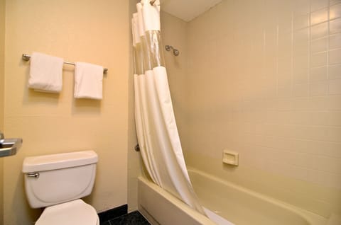 Combined shower/tub, free toiletries, hair dryer, towels