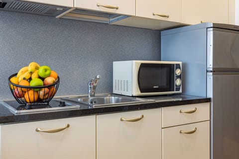 Fridge, microwave, stovetop, coffee/tea maker