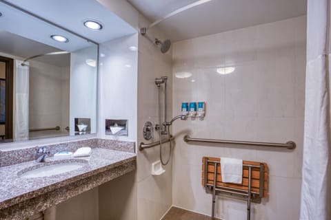 Deluxe Room, 1 King Bed, Accessible, Refrigerator & Microwave (Roll in Shower) | Bathroom | Combined shower/tub, free toiletries, hair dryer, towels