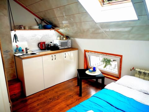 Meridian Studio with Sauna | Iron/ironing board, free WiFi, bed sheets