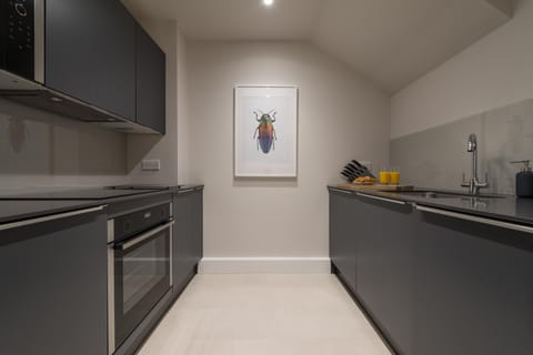 Apartment, 1 Bedroom | Private kitchen | Full-size fridge, microwave, oven, stovetop