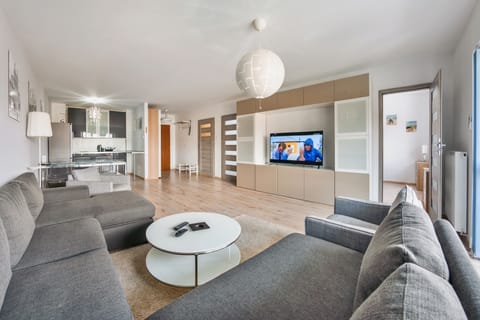 Apartment (24) | Living room | 30-inch flat-screen TV with cable channels, TV