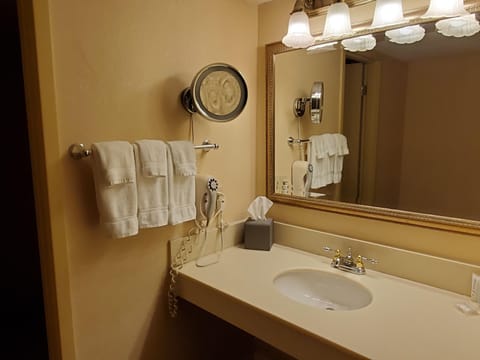 Combined shower/tub, free toiletries, hair dryer, towels