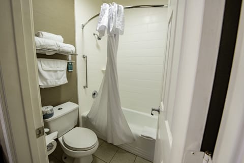 Suite, 1 King Bed, Accessible, Non Smoking (Roll-in shower) | Bathroom | Shower, free toiletries, hair dryer, towels
