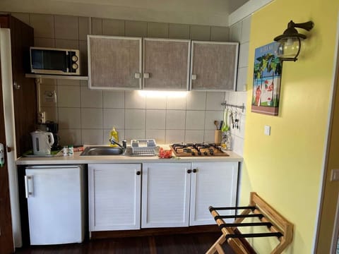 Studio Deluxe, Partial Sea View, Garden Area | Private kitchen | Microwave, stovetop, electric kettle, cookware/dishes/utensils