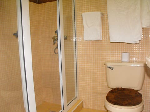 Luxury Double Room | Bathroom | Shower, rainfall showerhead, free toiletries, hair dryer