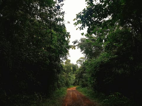 Hiking