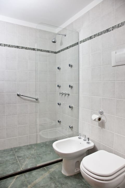 Rainfall showerhead, hair dryer, bidet, towels