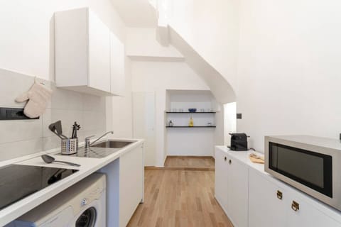 Apartment (1 Bedroom) | Private kitchen | Fridge, microwave, stovetop, electric kettle