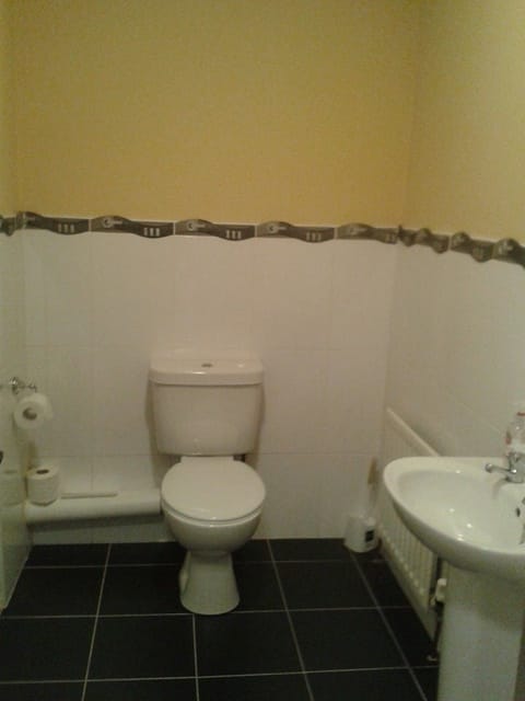 Combined shower/tub, free toiletries, hair dryer, towels