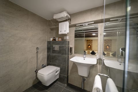 Deluxe Twin Room | Bathroom | Shower, rainfall showerhead, free toiletries, hair dryer