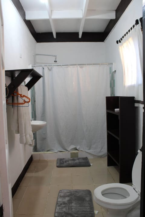 Standard Triple Room | Bathroom | Shower, free toiletries, towels, soap