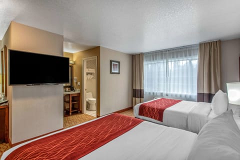 Deluxe Room, Multiple Beds, Non Smoking | Premium bedding, soundproofing, iron/ironing board