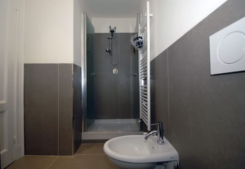 Shower, free toiletries, bidet, towels