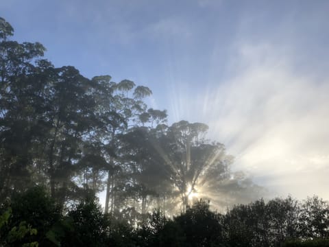 The Owner's Cottage | View from room