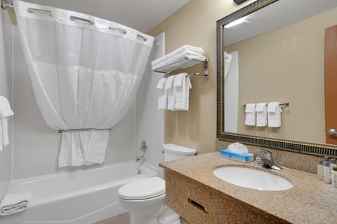 Suite | Bathroom | Combined shower/tub, deep soaking tub, eco-friendly toiletries