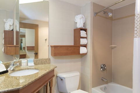Combined shower/tub, free toiletries, hair dryer, towels